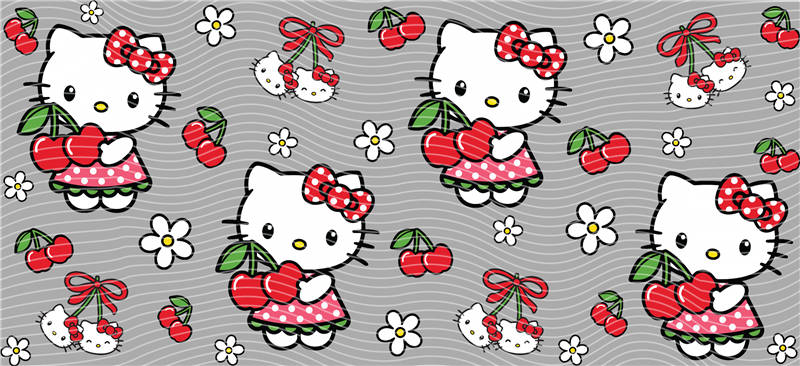 16oz Sanrio-K 395